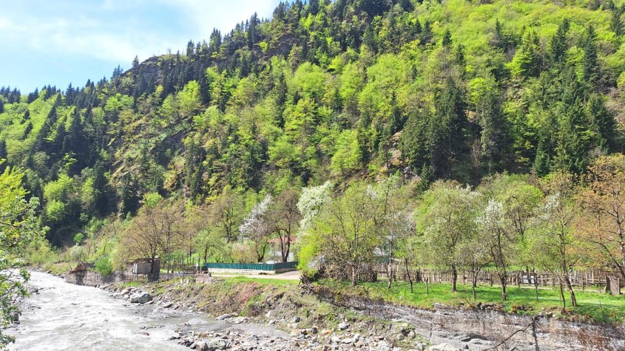 Guest House "Svaneti" Lentekhi Exterior foto
